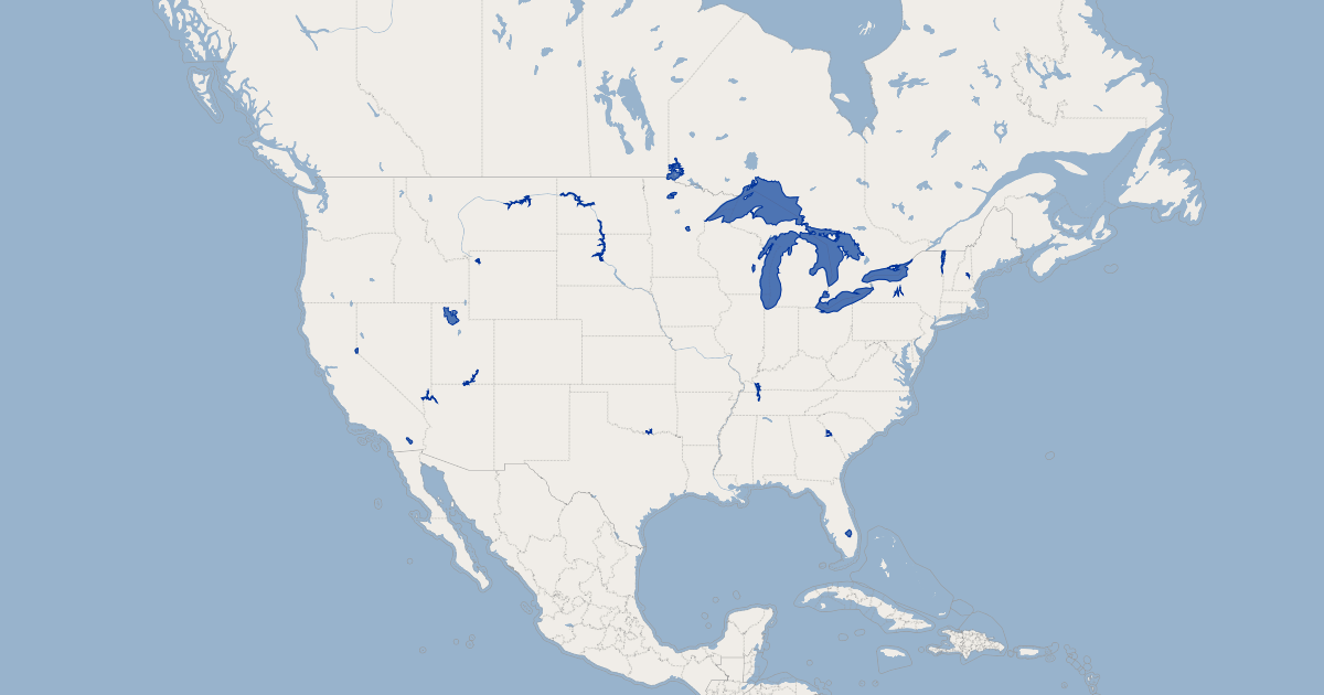 US Major Lakes (National) - United States Of America | GIS Map Data ...