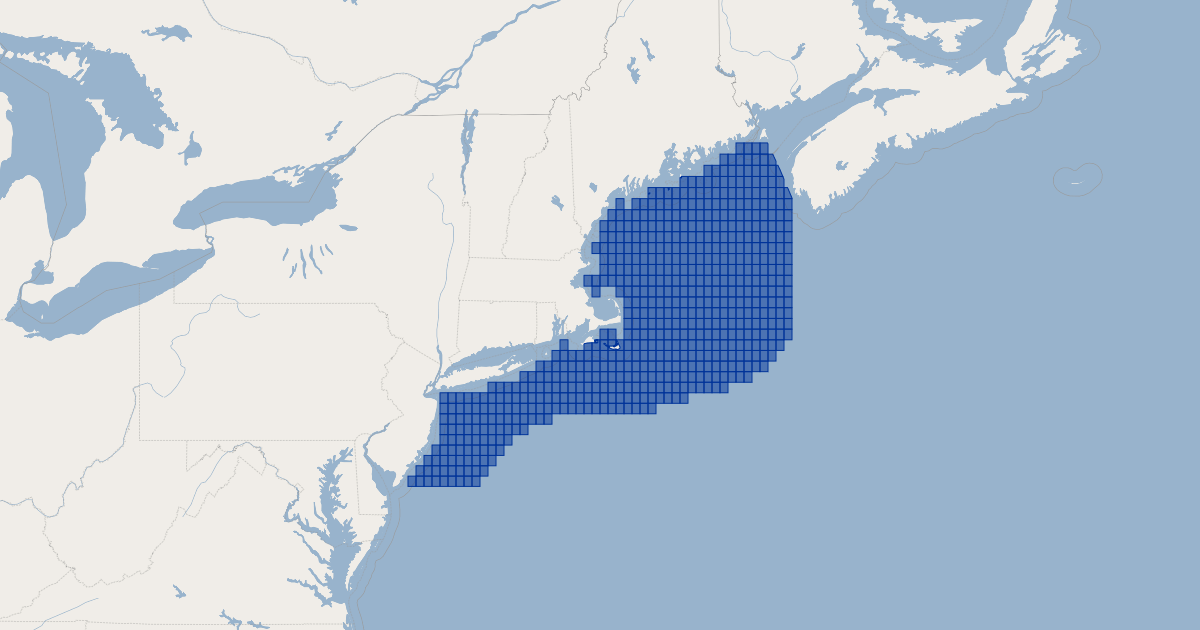 Marine Mammals and Sea Turtles layers - Sei Whale, Atlantic Spring ...